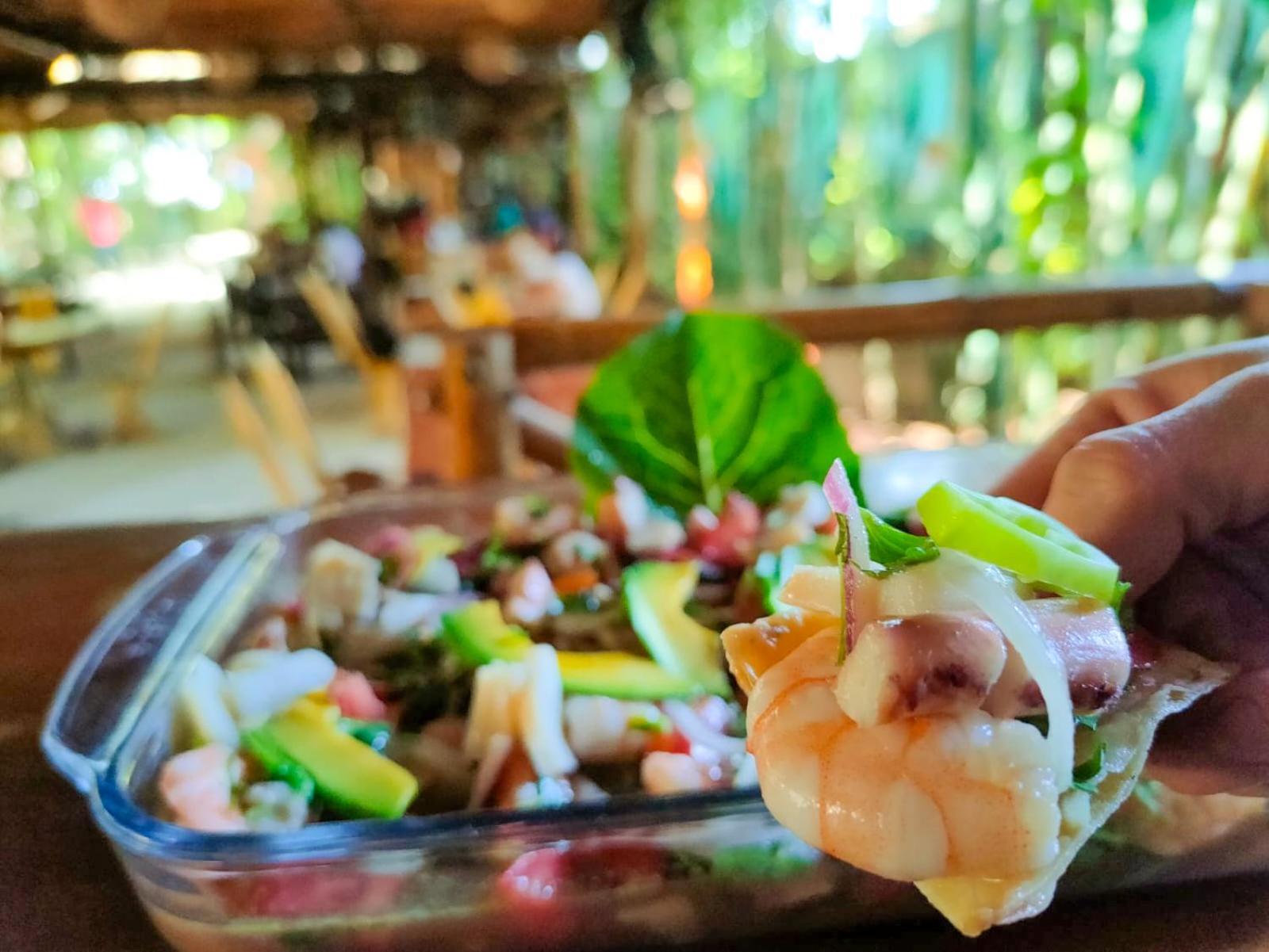 Hotel Bambus Felipe Carrillo Puerto Ngoại thất bức ảnh